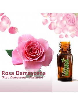 Rosa Damascena - Absoluto